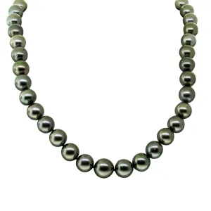 9ct Yellow Gold Tahitian Black Pearl Strand