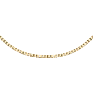 Box Chain Necklace G