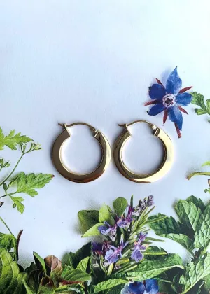Carla Corp | 14k 20mm Flat Hoop