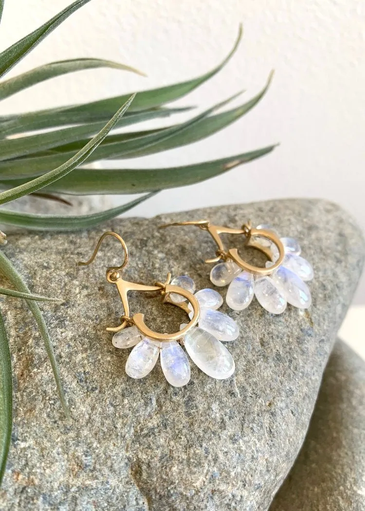Rachel Atherley | Small Peacock Earrings in 14k   Rainbow Moonstone