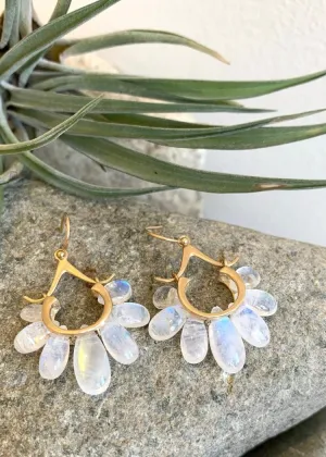 Rachel Atherley | Small Peacock Earrings in 14k   Rainbow Moonstone