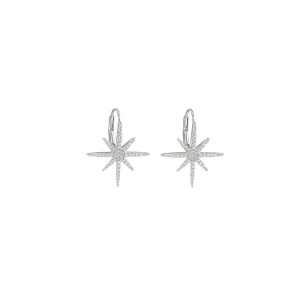 Rhodium plated 925 silver earrings assembled with zirconium oxide