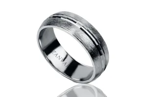 SILVER ARC