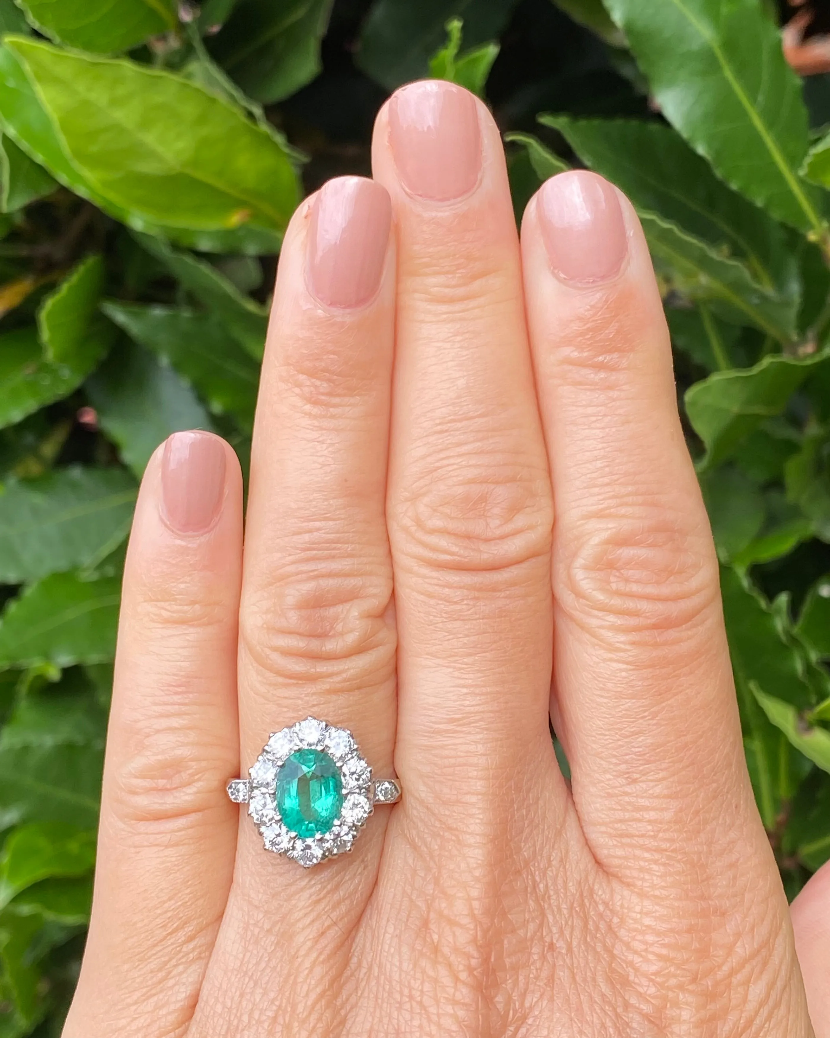 Victorian Emerald and Diamond Platinum Cluster Ring 1.35ct   1.50ct